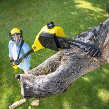 Best Aeration Services  in Manorhaven, NY